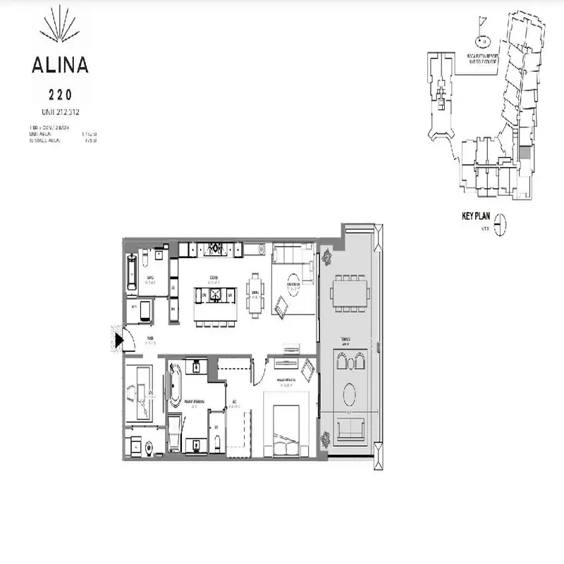 Plate 8