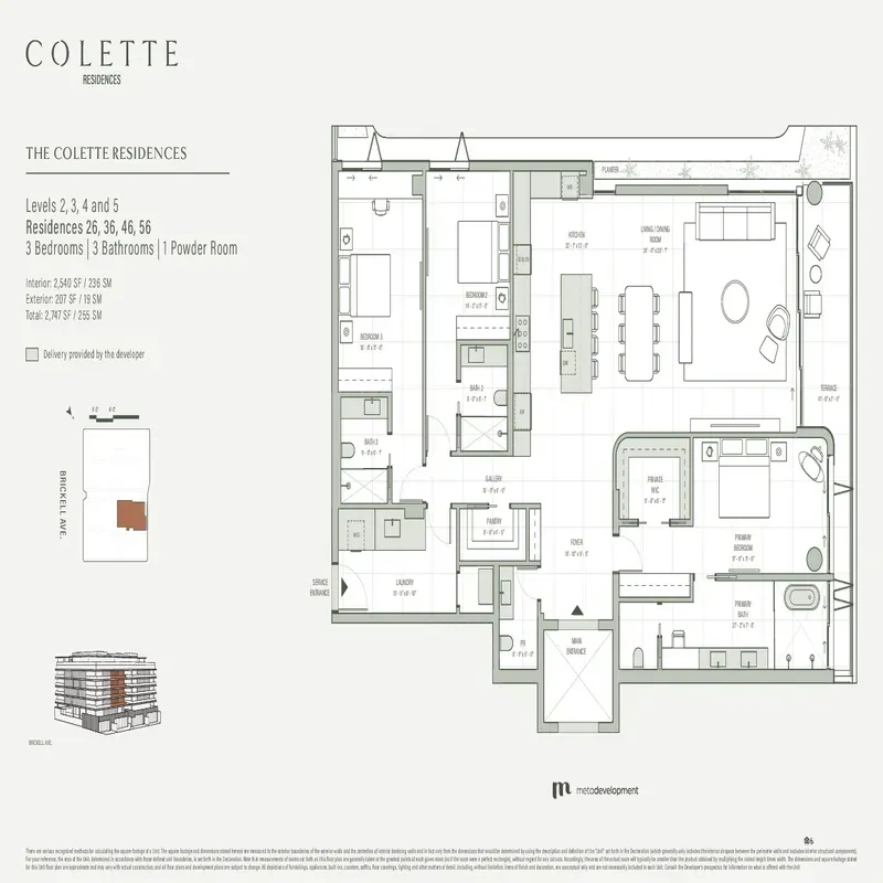 Plate 6